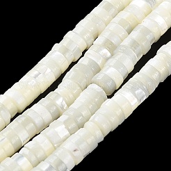 Natural Trochus Shell Beads Strands&nbsp;BSHE-E030-09A-01