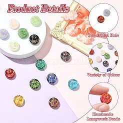 14Pcs 14 Colors Handmade Lampwork Beads&nbsp;LAMP-CJ0002-86