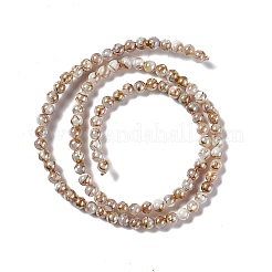 Drawbench Style Natural Freshwater Shell Beads Strands&nbsp;SHEL-F003-10A