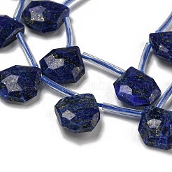 Natural Lapis Lazuli Beads Strands&nbsp;G-P544-C10-01