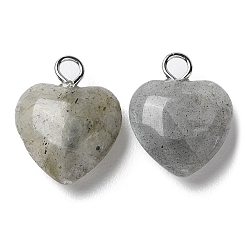 Natural Labradorite Pendants&nbsp;G-E603-01P-08