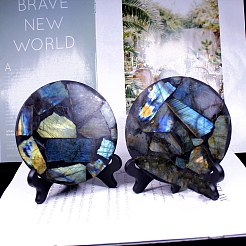 Natural Labradorite Display Decorations&nbsp;PW-WG3A2EF-01