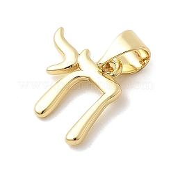 Brass Pendants&nbsp;KK-H529-43G