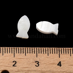 Natural Freshwater Shell Beads&nbsp;SHEL-H003-06