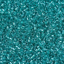 MIYUKI Delica Beads&nbsp;SEED-X0054-DB0904
