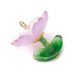 Transparent Acrylic Pendants&nbsp;PALLOY-MZ00823