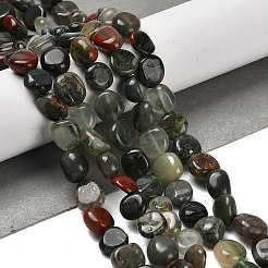Natural African Bloodstone Beads Strands&nbsp;G-P497-01E-13