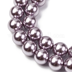 Electroplated Shell Pearl Beads Strands&nbsp;BSHE-G041-10mm-02