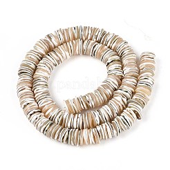 Luminous Natural Seashell Shell Beads Strands&nbsp;SSHEL-T017-34