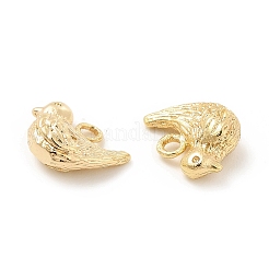Brass Charms&nbsp;KK-G447-12G