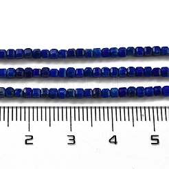 Natural Lapis Lazuli Dyed Beads Strands&nbsp;G-G140-C02-02