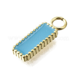 304 Stainless Steel Charms&nbsp;STAS-H233-11G