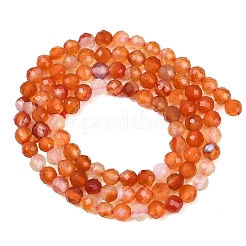 Natural Flower Agate Beads Strands&nbsp;G-B175-D23-4mm