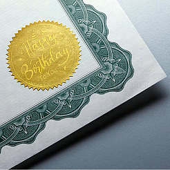 Plastic Self Adhesive Gold Foil Embossed Stickers&nbsp;DIY-WH0211-375