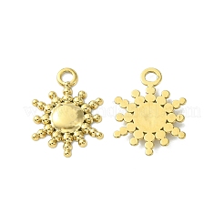 304 Stainless Steel Charms&nbsp;STAS-L269-039G
