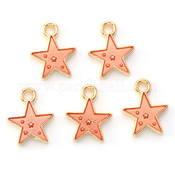 Alloy Enamel Charms&nbsp;X-ENAM-S121-028D