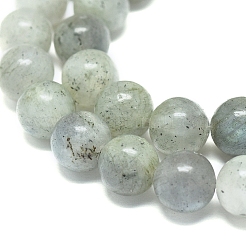 Natural Labradorite Beads Strands&nbsp;G-G828-01-8mm