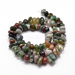 Natural Indian Agate Chip Beads Strands&nbsp;G-E271-106