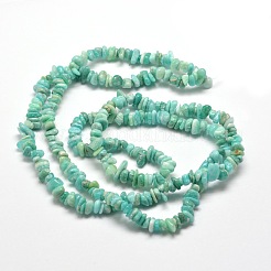 Natural Amazonite Chip Beads Strands&nbsp;G-M205-64A