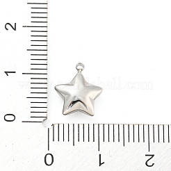 Non-Tarnish 304 Stainless Steel Charms&nbsp;STAS-P333-08P