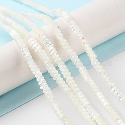 Natural Trochus Shell Beads Strands&nbsp;BSHE-Z003-17