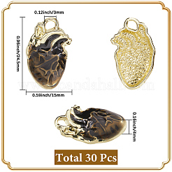 30Pcs Rack Plating Alloy Enamel Pendants&nbsp;FIND-SC0015-12A