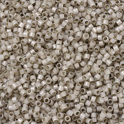 MIYUKI Delica Beads&nbsp;SEED-JP0008-DB1458