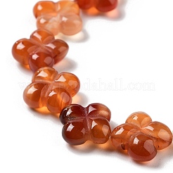 Natural Red Agate Beads Strands&nbsp;G-P520-A06-01