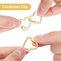 9Pcs 3 Colors Alloy Screw Carabiner Lock Charms&nbsp;FIND-DC0005-63