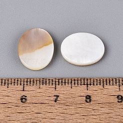 Natural Freshwater Shell Cabochons&nbsp;SHEL-S276-134A-01-1