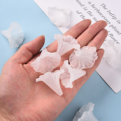 Transparent Acrylic Beads&nbsp;BSF796