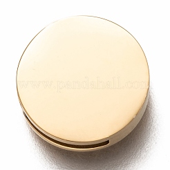304 Stainless Steel Slide Charms&nbsp;STAS-P270-16G