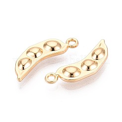 Alloy Pendants&nbsp;PALLOY-T092-45G