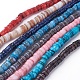 Shell Beads Strands&nbsp;SSHEL-E571-49-1
