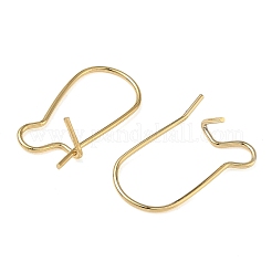 Brass Hoop Earring Findings&nbsp;KK-F824-009G