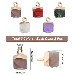 10Pcs 5 Colors Ruby in Zoisite & Grey Agate & Quartz Crystal & White Jade & Turquoise Gemstone Charms&nbsp;G-SC0002-05