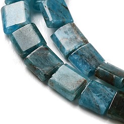 Natural Apatite Beads Strands&nbsp;G-F762-A19-01