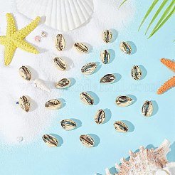 Electroplated Shell Beads&nbsp;BSHE-PH0003-22B