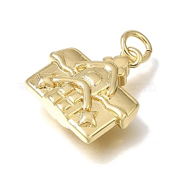 Brass Pendants&nbsp;KK-CBAEEA8-18G