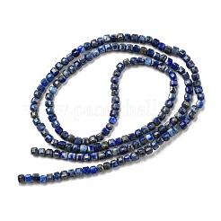 Natural Lapis Lazuli Beads Strands&nbsp;G-G0005-A02