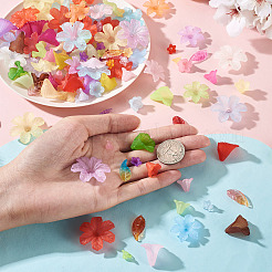230Pcs 6 Styles Transparent Acrylic Beads&nbsp;OACR-TA0004-39