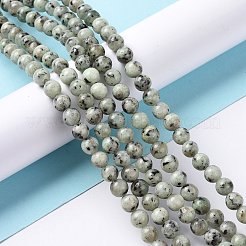 Natural Sesame Jasper/Kiwi Jasper Bead Strands&nbsp;X-G-R345-6mm-12