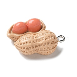 Resin Iron Pendants&nbsp;X1-RESI-D280-17