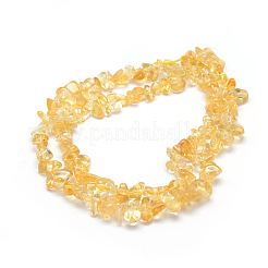 Natural Citrine Beads Strands&nbsp;G-P332-51