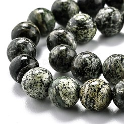 Natural Green Zebra Jasper Beads Strands&nbsp;G-L574-05B