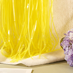 PET Fringe Curtains&nbsp;AJEW-TADJ0001-03C