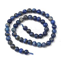 Natural Lapis Lazuli Bead Strands&nbsp;G-G953-01-8mm