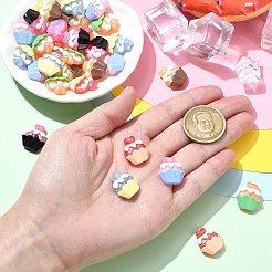 30Pcs 6 Colors Resin Cabochons&nbsp;CRES-CJ0001-72