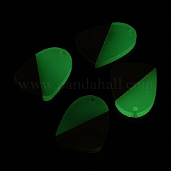 Luminous Glow in the Dark Wood & Resin Pendant&nbsp;WOOD-H104-08