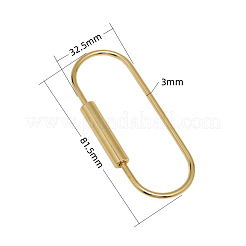 Brass Screw Carabiner Lock Charms&nbsp;KK-ZX025-64C